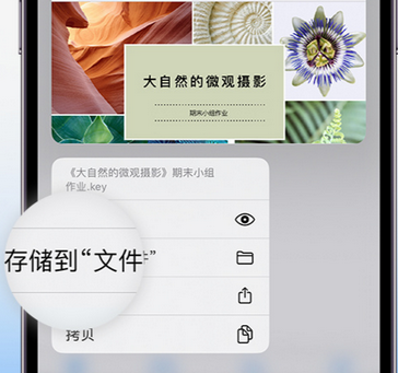 永定apple维修中心分享iPhone文件应用中存储和找到下载文件