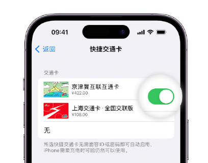 永定apple维修点分享iPhone上更换Apple Pay快捷交通卡手绘卡面 