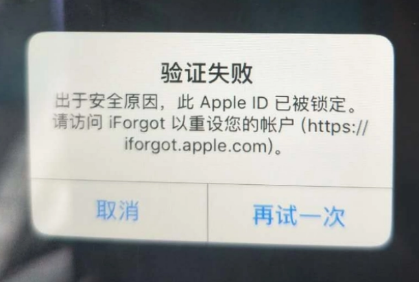 永定iPhone维修分享iPhone上正常登录或使用AppleID怎么办 