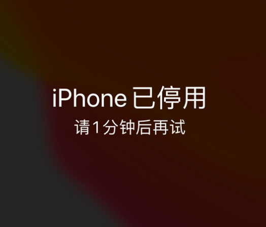 永定苹果手机维修分享:iPhone 显示“不可用”或“已停用”怎么办？还能保留数据吗？ 