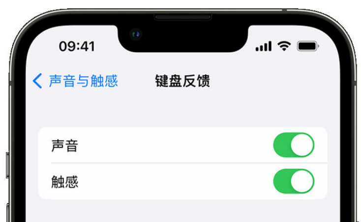 永定苹果手机维修分享iPhone 14触感键盘使用方法 
