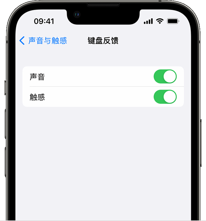 永定苹果14维修分享iPhone 14 系列机型如何开启键盘声音或触感反馈 