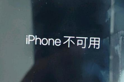 永定苹果服务网点分享锁屏界面显示“iPhone 不可用”如何解决 