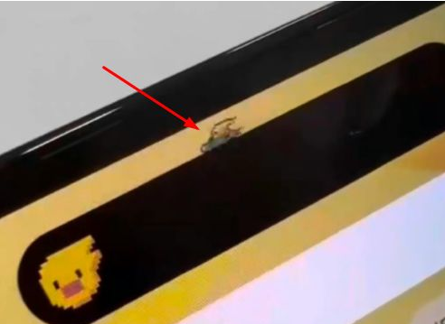 永定苹果14维修分享iPhone 14 Pro Max灵动岛怎么养宠物 