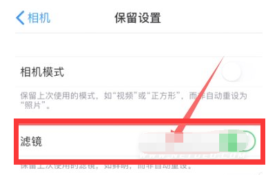 永定苹果13维修分享iPhone13拍照有绿点是怎么回事 