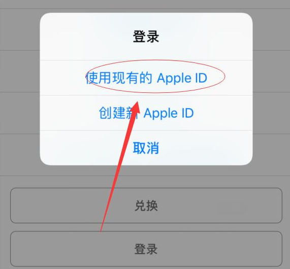 永定苹果手机维修分享两台iPhone设备可以同时登录一个Apple ID吗 