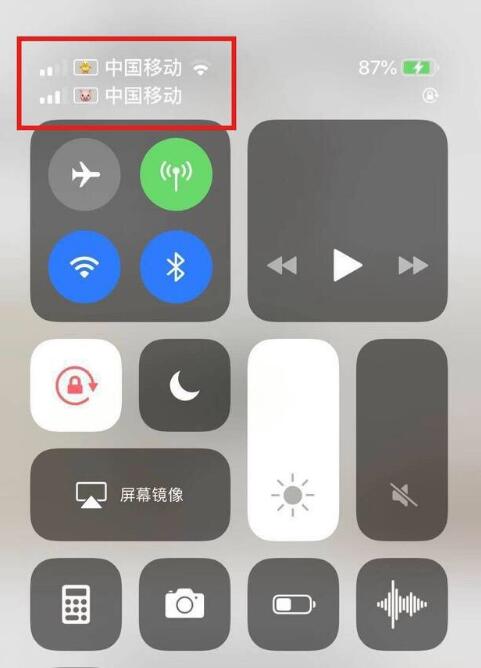 永定苹果手机维修分享为 iPhone 12 双卡设置标签 
